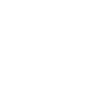 public safety icon
